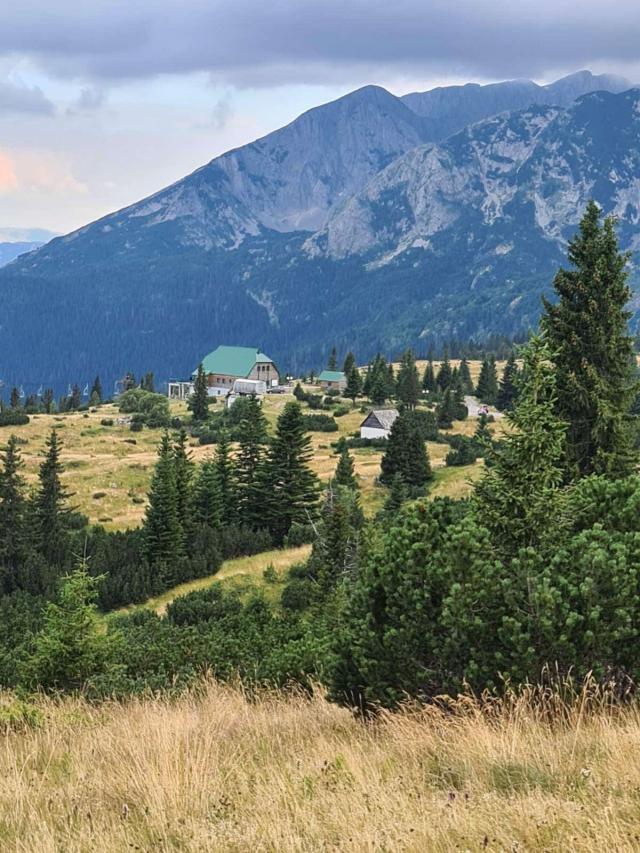 Bosače, Žabljak- Zemljiste 40,000m2 netaknute prirode sa panoramskim pogledom
