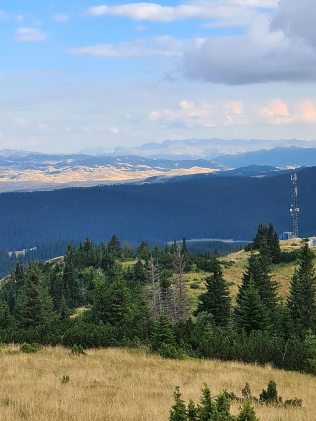 Bosače, Žabljak- Zemljiste 40,000m2 netaknute prirode sa panoramskim pogledom