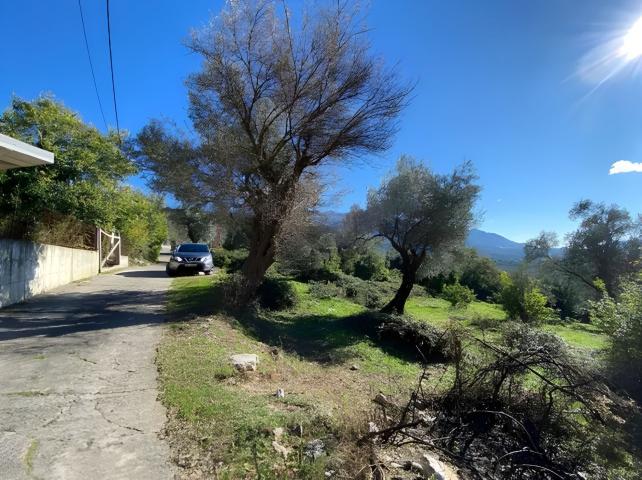 Plac sa pogledom na more 1258m2 Tivat-Mrcevac