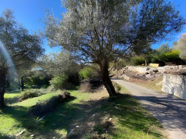 Plac sa pogledom na more 1258m2 Tivat-Mrcevac