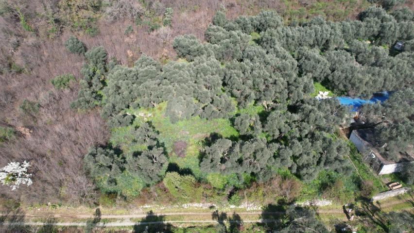 Buljarica, Budva-Plac 15810m2 sa pogledom na more