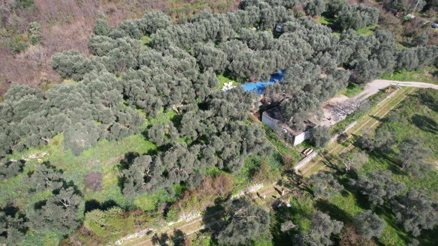 Buljarica, Budva-Plac 15810m2 sa pogledom na more