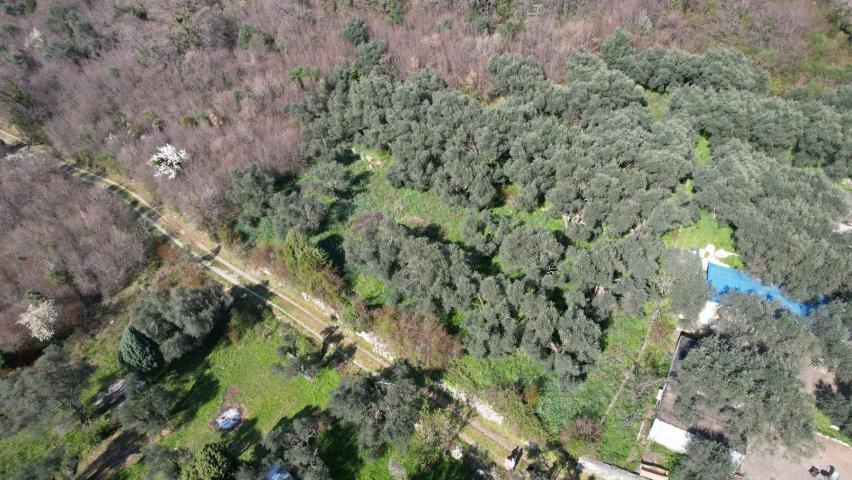 Buljarica, Budva-Plac 15810m2 sa pogledom na more