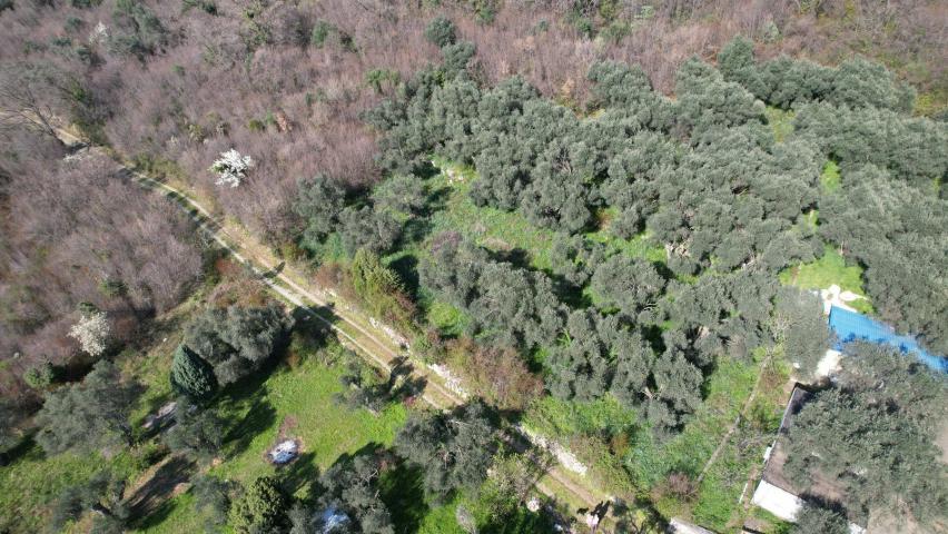 Buljarica, Budva-Plac 15810m2 sa pogledom na more