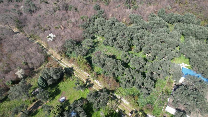 Buljarica, Budva-Plac 15810m2 sa pogledom na more