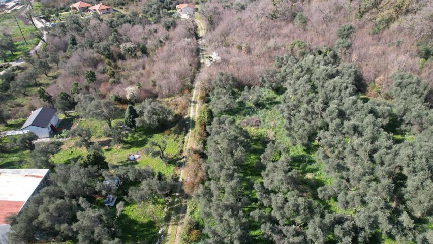 Buljarica, Budva-Plac 15810m2 sa pogledom na more