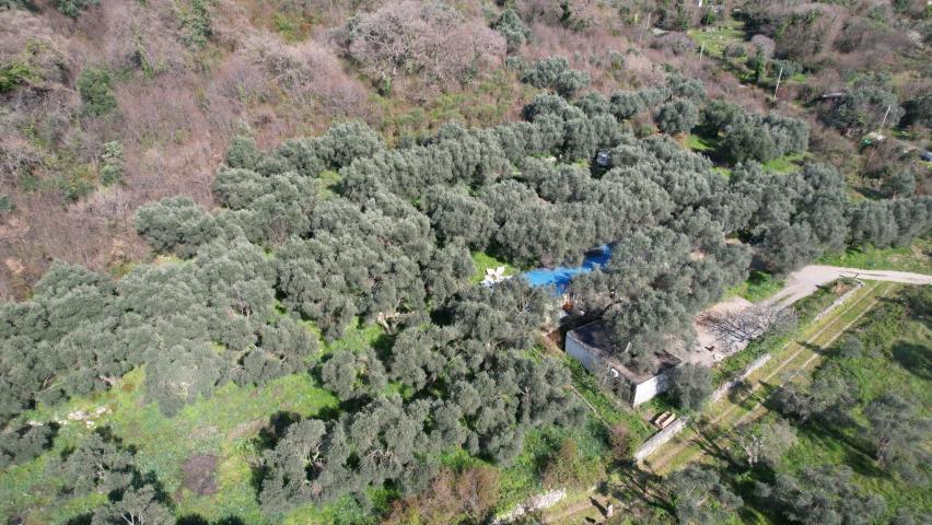 Buljarica, Budva-Plac 15810m2 sa pogledom na more
