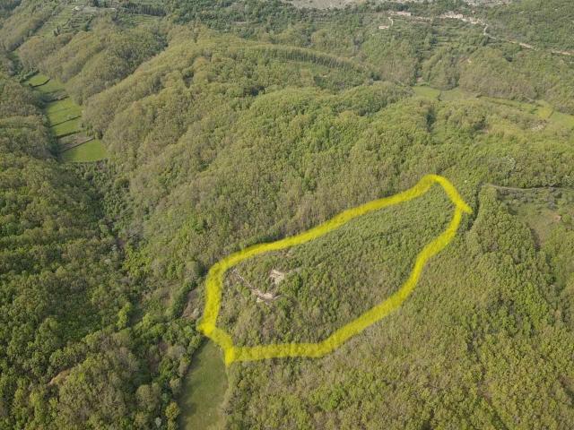 Bar-Zemljiste 18.969m2 sa pogledom na more