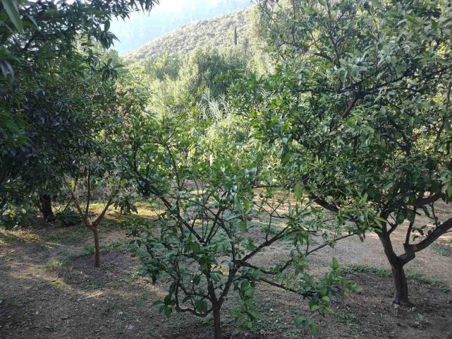 Zelenika, Herceg Novi - Prostrana Kuća 180 m² na Placu od 2000 m²
