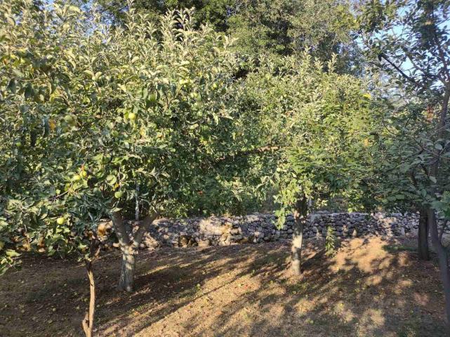 Zelenika, Herceg Novi - Prostrana Kuća 180 m² na Placu od 2000 m²