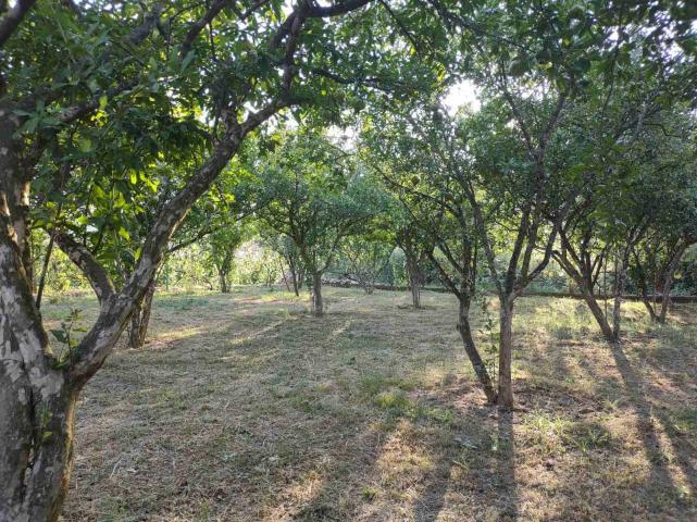 Zelenika, Herceg Novi - Prostrana Kuća 180 m² na Placu od 2000 m²