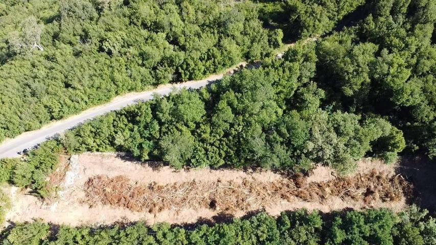 Čelobrdo, Sveti Stefan-Plac 986m2 sa pogledom na Budvansku rivijeru