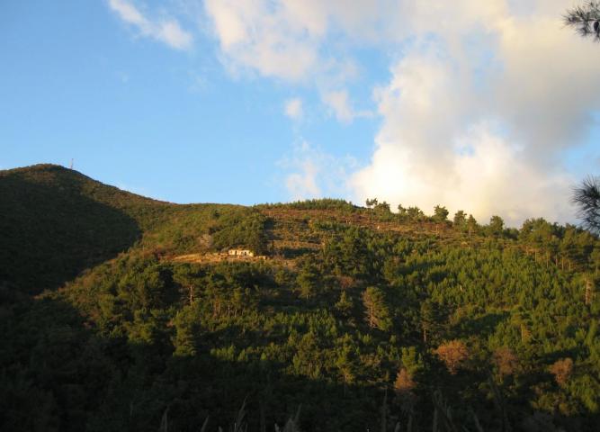 Budva, Komoševina – Građevinsko zemljište za luksuzni kompleks sa panoramskim pogledom na more