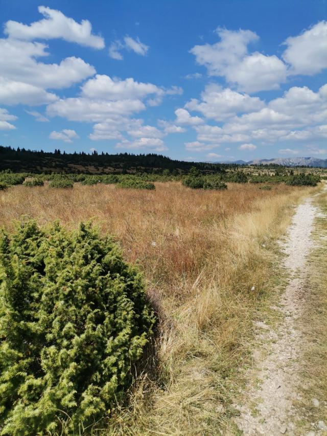 Zemljište 36.000 m², Žabljak