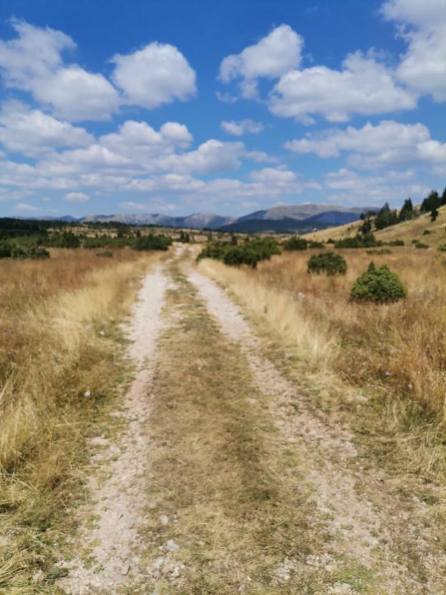 Zemljište 36.000 m², Žabljak