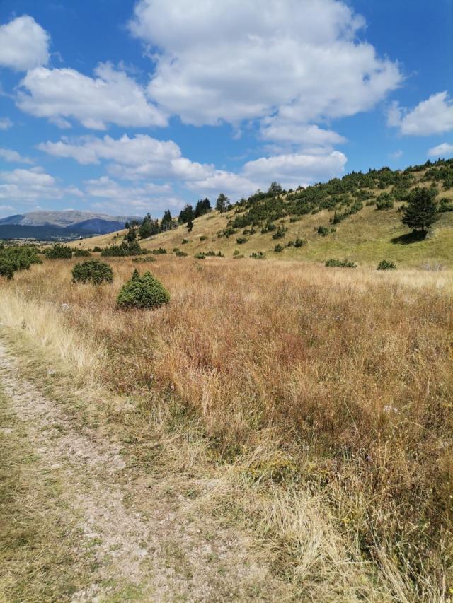 Zemljište 36.000 m², Žabljak