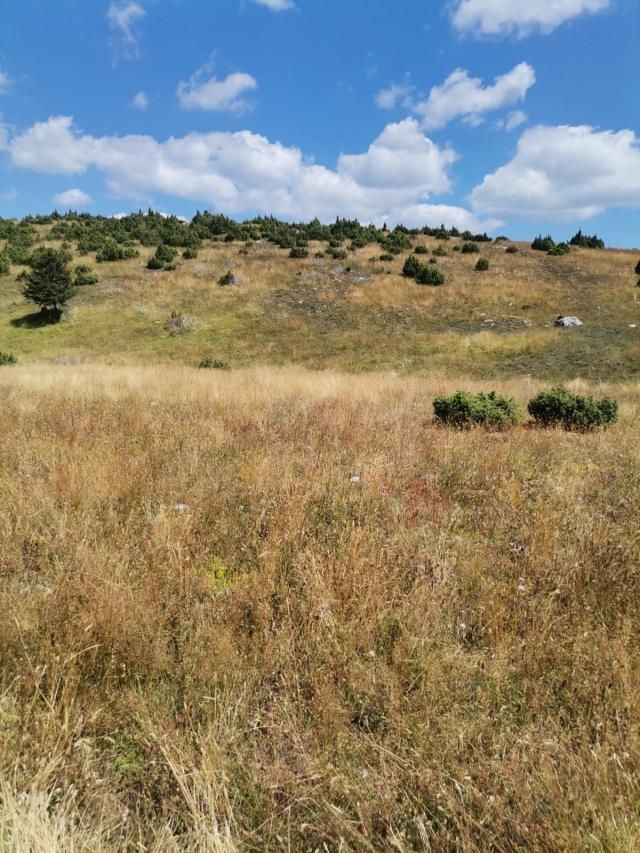 Zemljište 36.000 m², Žabljak