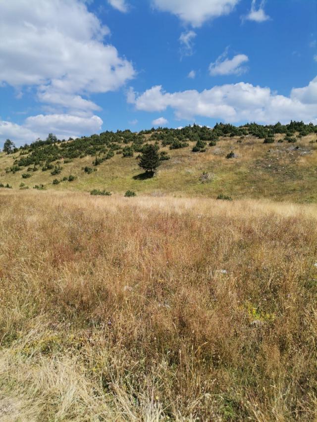 Zemljište 36.000 m², Žabljak