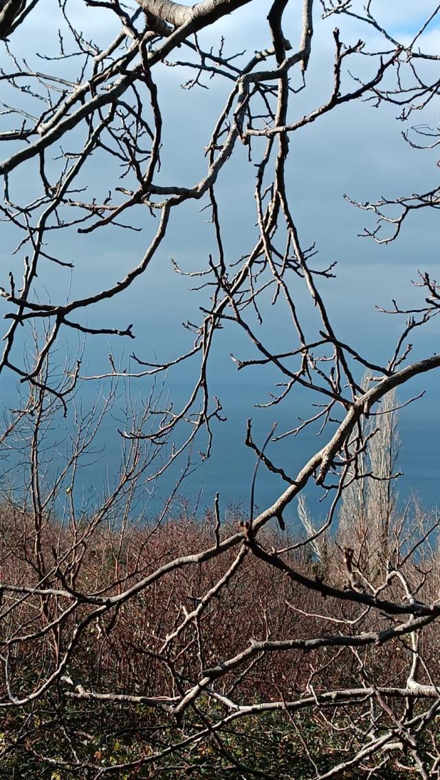 Neurbanizovano zemljiste za prodaju 740m² sa pogledom na more, Blizikuće, Budva