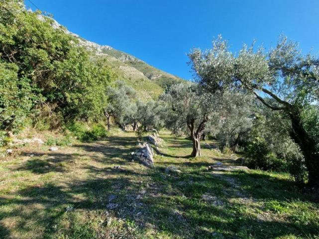 Urbanizovan plac sa pogledom na more, 1700 m², Reževići, Budva