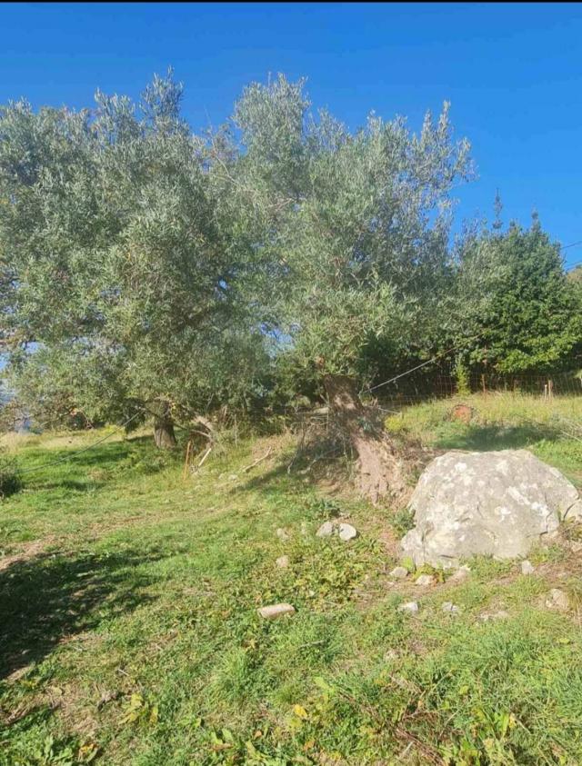 Urbanizovan plac sa trajnim pogledom na more – 1.058 m², Podi, Herceg Novi
