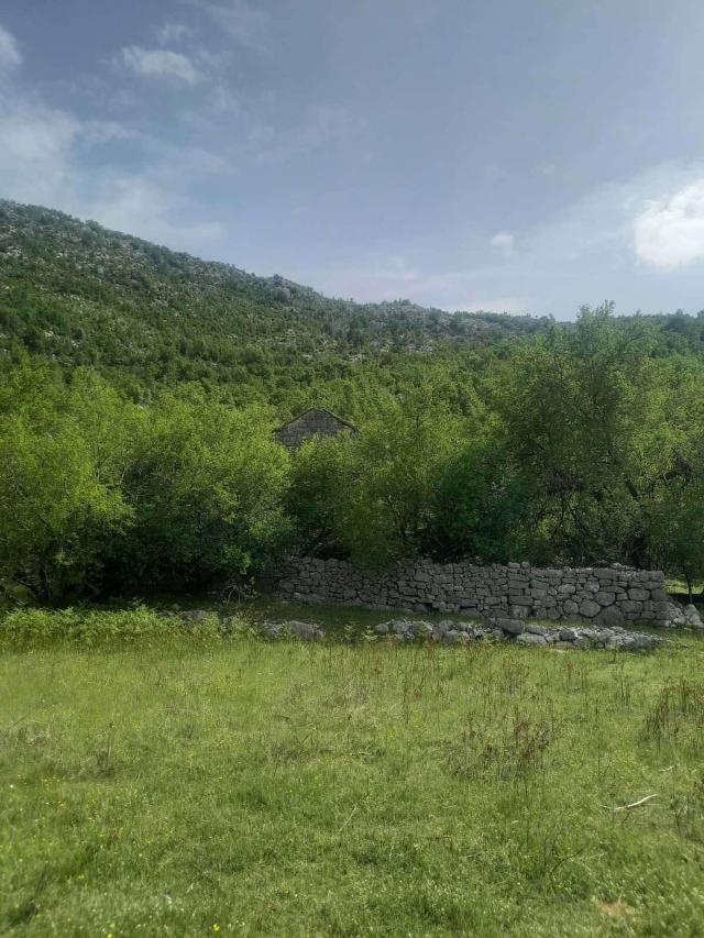 Neurbanizovano zemljiste površine 491,760m2 u mestu Dragalj, opština Kotor. 