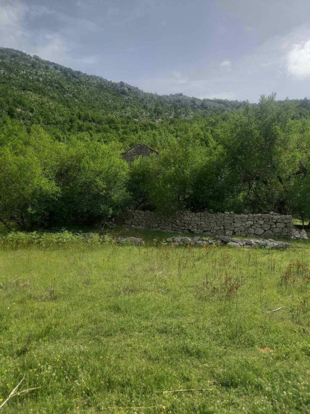 Neurbanizovano zemljiste površine 491,760m2 u mestu Dragalj, opština Kotor. 