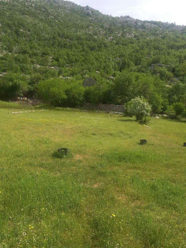 Neurbanizovano zemljiste površine 491,760m2 u mestu Dragalj, opština Kotor. 