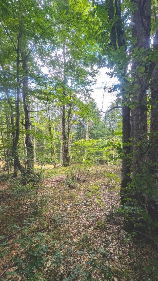 Ekskluzivna urbanizovana parcela 664m² u planinskom kompleksu na Žabljaku
