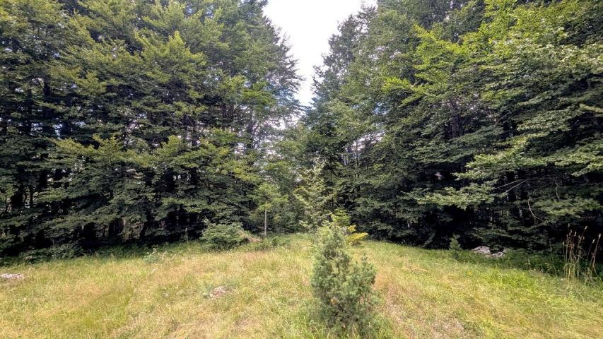 Ekskluzivna urbanizovana parcela 585m² u planinskom kompleksu na Žabljaku
