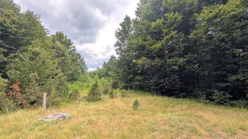 Ekskluzivna urbanizovana parcela 583m² u planinskom kompleksu na Žabljaku