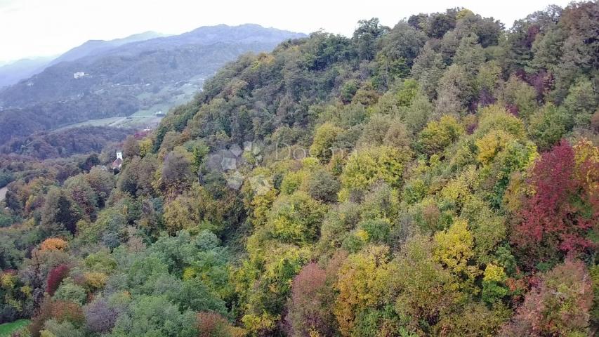 Izvanredna prilika za kupnjom posjeda od 125.634m² nadomak Slovenije!