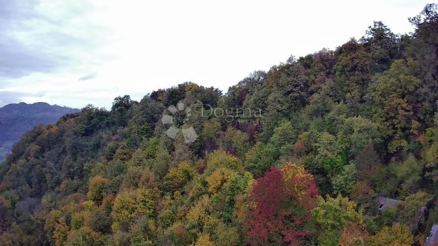Izvanredna prilika za kupnjom posjeda od 125.634m² nadomak Slovenije!