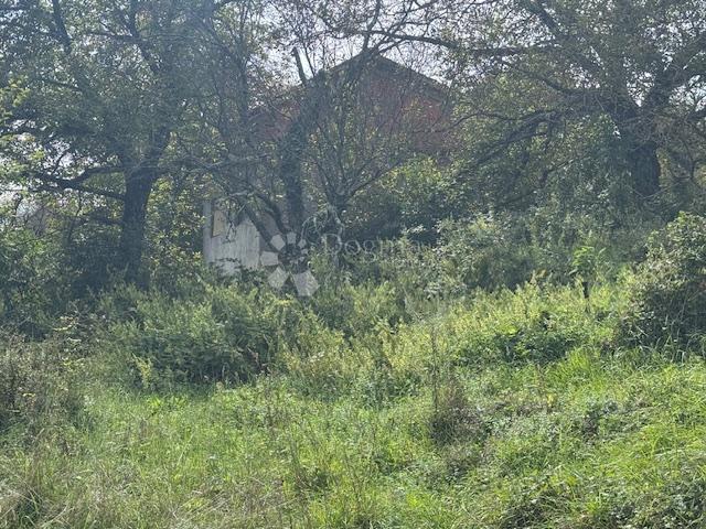 Građevinsko + negrađevinsko zemljište Šapjane sa objektom!