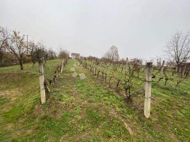 Building land Popovača, 1.115m2