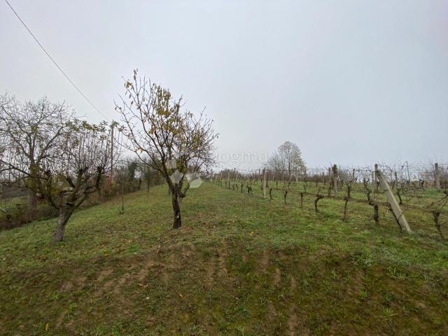 Building land Popovača, 1.115m2
