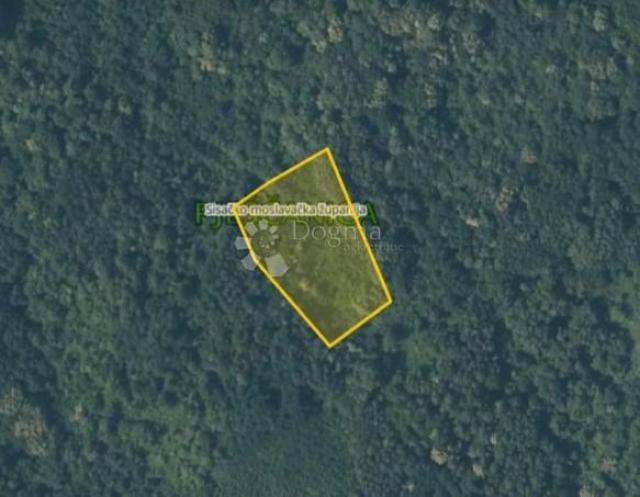 Agricultural land Pješčanica, Gvozd, 8.369m2
