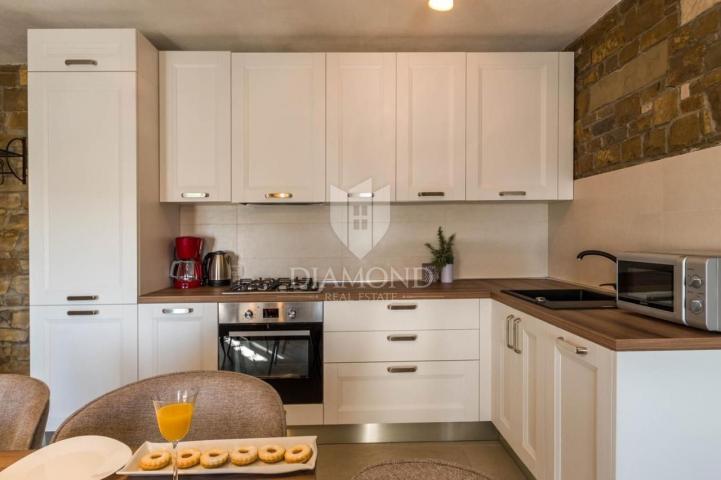 Oprtalj okolica, villa sa bazenom sa panoramskim pogledom