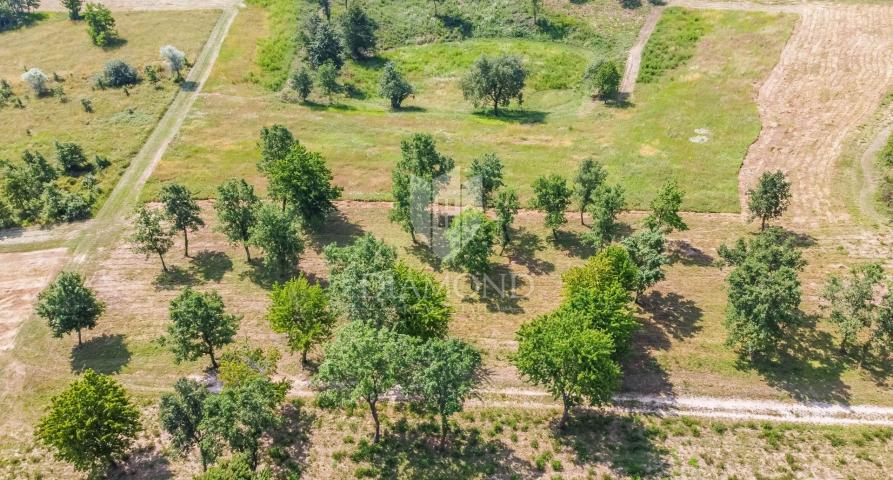 Poreč, surroundings, building land for building a house!