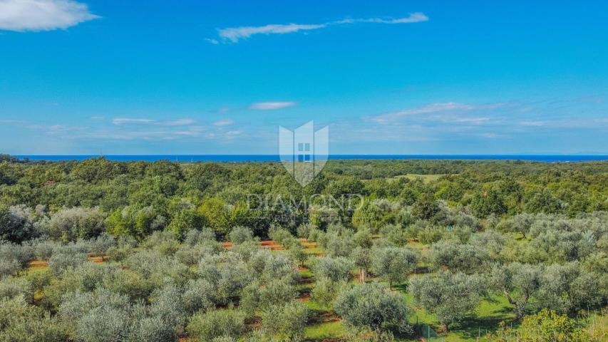 Umag okolica, kuća u izgradnji sa pogledom na more!
