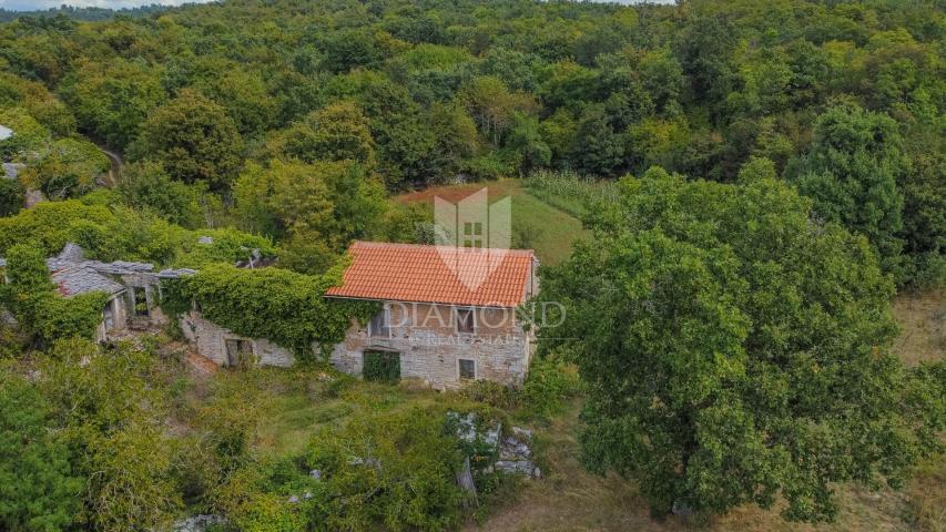 Oprtalj okolica, kuća sa velikim zemljištem 