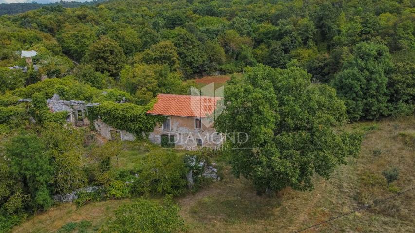 Oprtalj okolica, kuća sa velikim zemljištem 