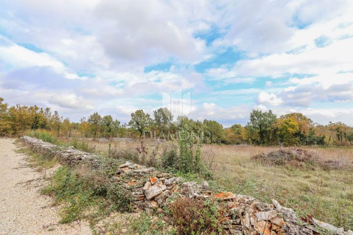 Marčana, okolica, odlično zemljište u mirnom mjestu