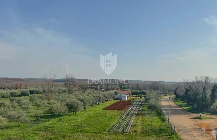 Umag novogradnja, stan s pogledom na more