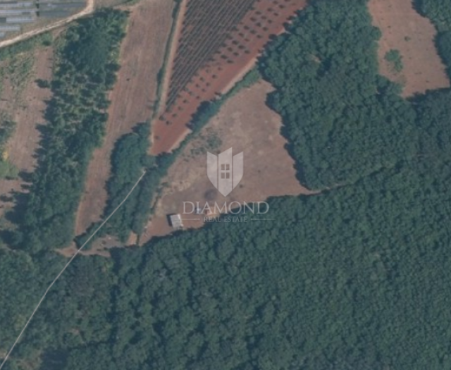 Kaštelir, spacious agricultural land