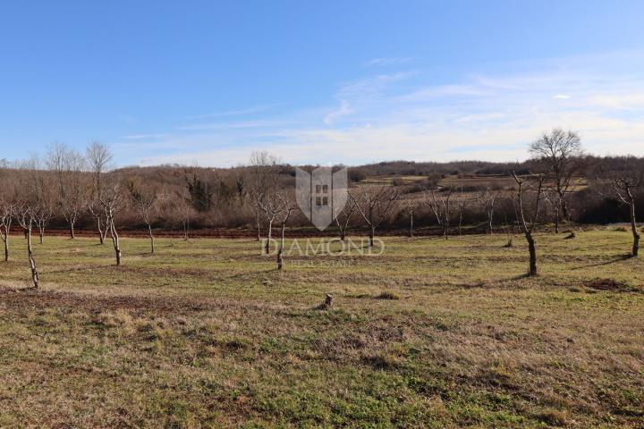 Poreč, okolica, zemljište sa otvorenim pogledom okruženo prirodom