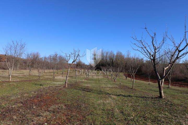 Poreč, okolica, zemljište sa otvorenim pogledom okruženo prirodom