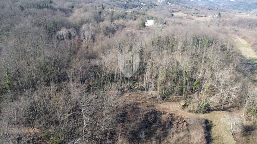 Pićan , građevinsko zemljište u prirodi