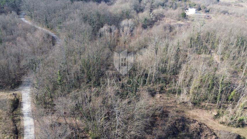 Pićan, okolica, građevinsko zemljište na mirnoj lokaciji