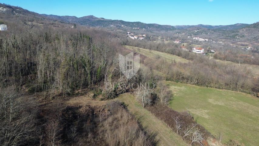 Pićan, okolica, građevinsko zemljište na mirnoj lokaciji